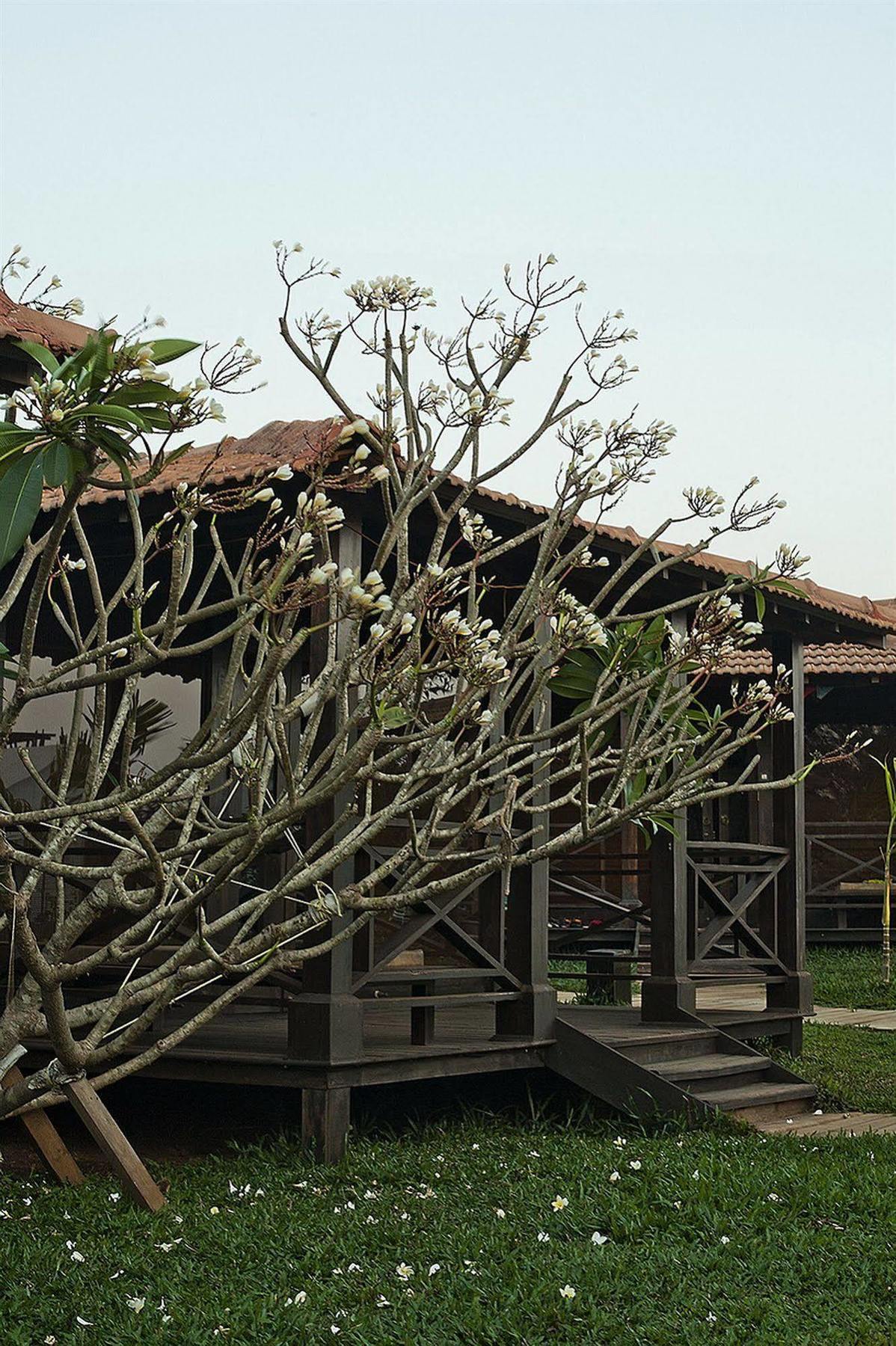 Ecowoods Village Spa & Yoga Retreat Morjim Exterior foto